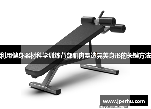 利用健身器材科学训练背部肌肉塑造完美身形的关键方法