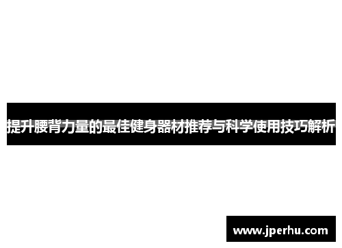 提升腰背力量的最佳健身器材推荐与科学使用技巧解析