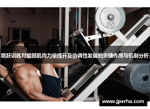 跳跃训练对腿部肌肉力量提升及协调性发展的关键作用与机制分析