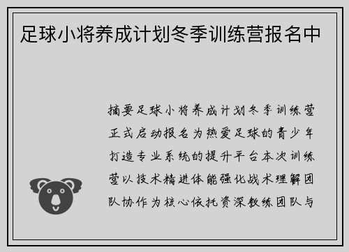 足球小将养成计划冬季训练营报名中