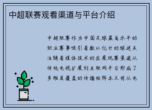 中超联赛观看渠道与平台介绍